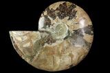 Agatized Ammonite Fossil (Half) - Crystal Pockets #114927-1